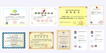 上海互聯(lián)網(wǎng)軟件集團(tuán) 高端協(xié)同管理軟件與教育咨詢服務(wù)的專業(yè)提供者