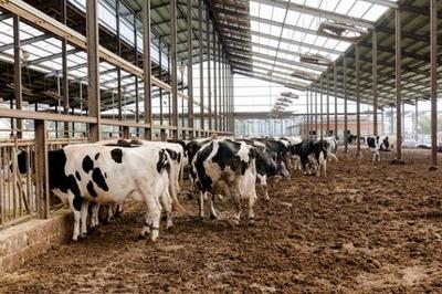 農(nóng)業(yè)四大支柱 種植業(yè)、畜牧業(yè)、林業(yè)與漁業(yè)的協(xié)同發(fā)展與飼料供給